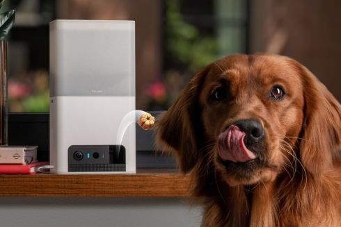 Petcube запускает продажи в Украине. Какая стоимость гаджетов