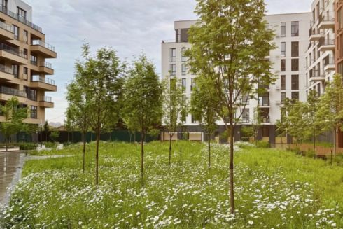 У Києві висадили першу луку замість газону на території ЖК: фото