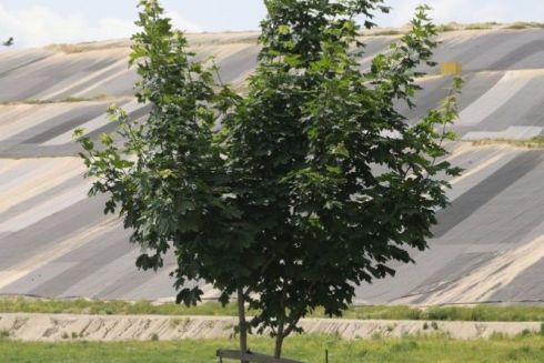 Колишнє сміттєзвалище у Львові перетворюють на поле для гольфу: фото