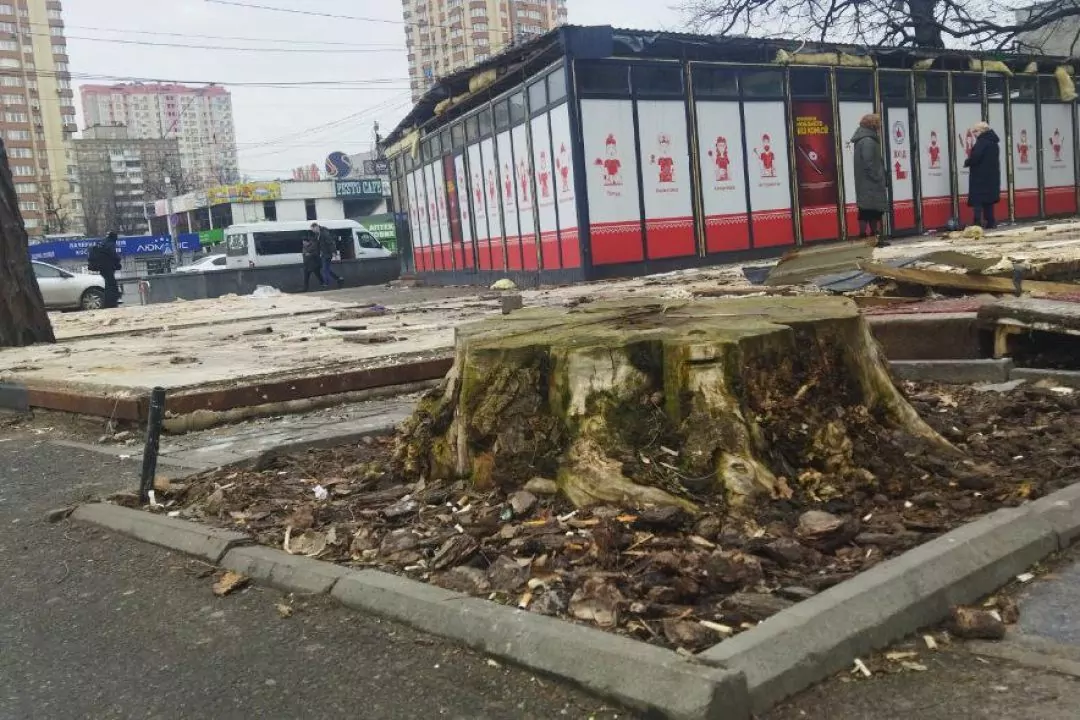 Фото: Поблизу метро &laquo;Житомирська&raquo; демонтували МАФи, спилявши дерева