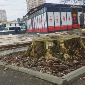 Фото: Рядом с метро «Житомирская» снесли МАФы, спилив деревья
