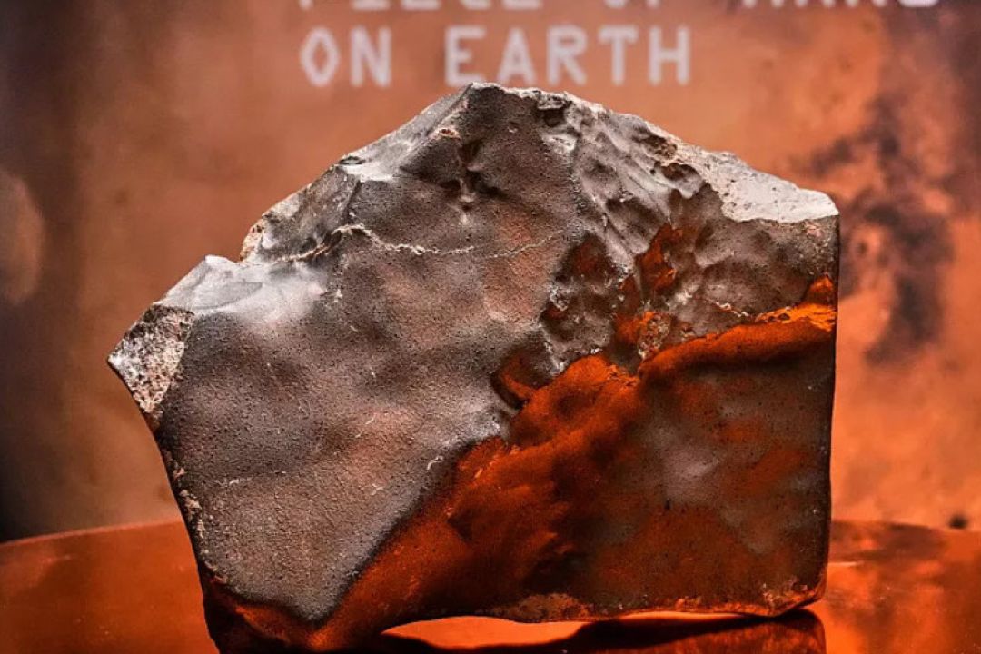 Марсіанський метеорит і скелет динозавра побили рекорди на аукціоні