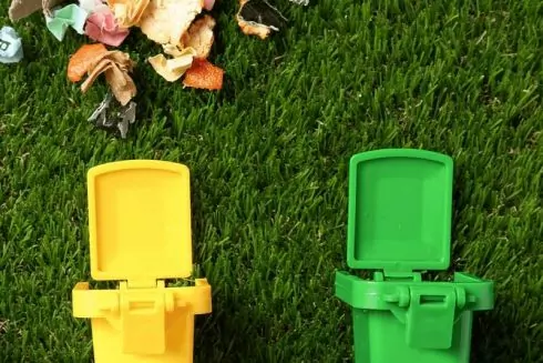 МсDonalds запустив сортування відходів в ресторанах Києва та Львова