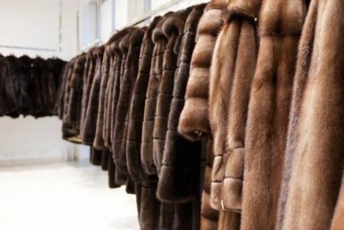 Організація UAnimals прийматиме одяг з хутру для бездомних