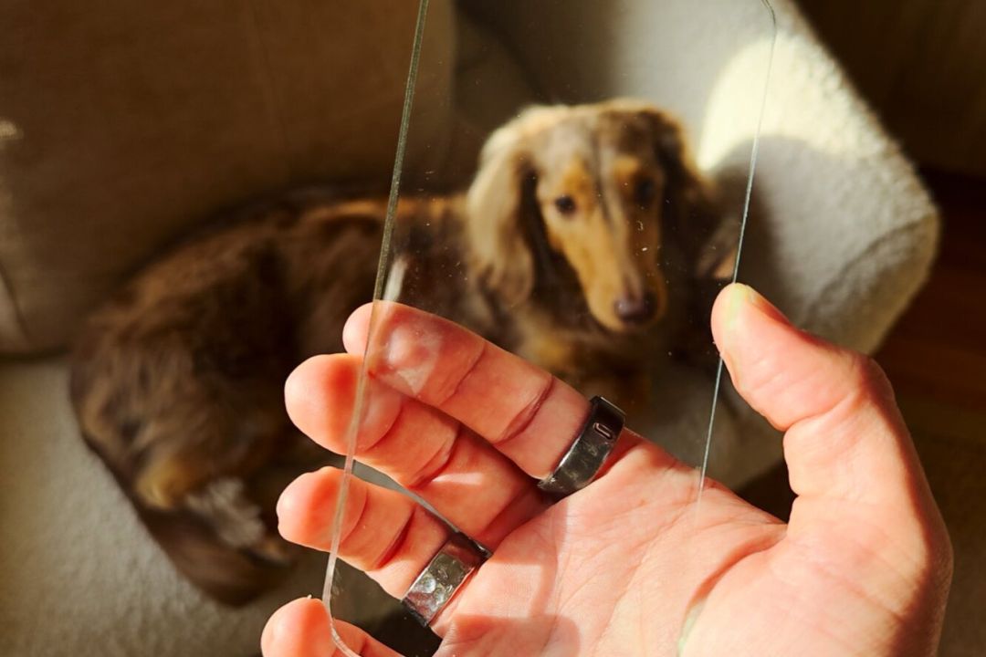 Дизайнери створили прозорий "смартфон" — для детоксу від екранів