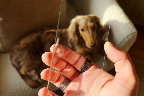 Дизайнери створили прозорий "смартфон" — для детоксу від екранів