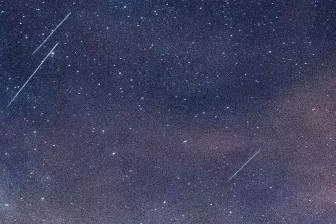 В августе ожидается самый мощный звездопад года: когда его можно будет увидеть
