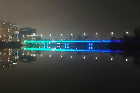 Як підсвітили Русанівський міст: фото