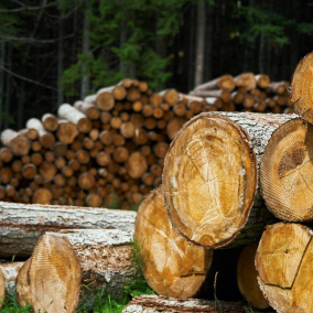 Жителям прифронтовых областей будут бесплатно доставлять дрова для обогрева домов: как получить