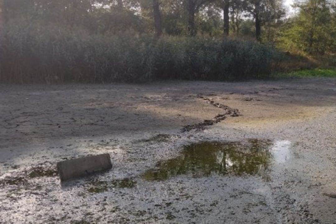 Оголошено новий тендер на 95 млн грн для порятунку озера Синє