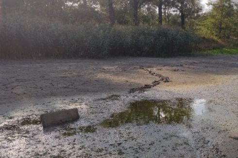 Оголошено новий тендер на 95 млн грн для порятунку озера Синє