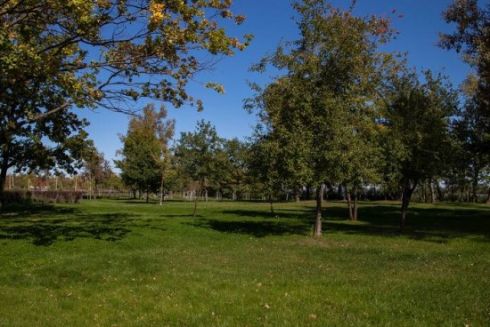 Еконагороду за Оболонський острів у Києві вимагають відкликати