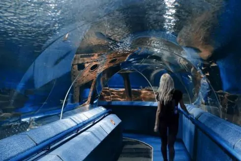 Во Львове появится первый океанариум: когда и каким он будет