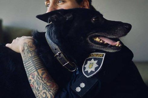 VeteranHub, Поліція і Happy Paw запустили флешмоб про безпритульних тварин