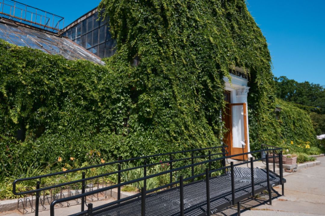 Оранжерею на ВДНГ оновили: локація стала безбар'єрною