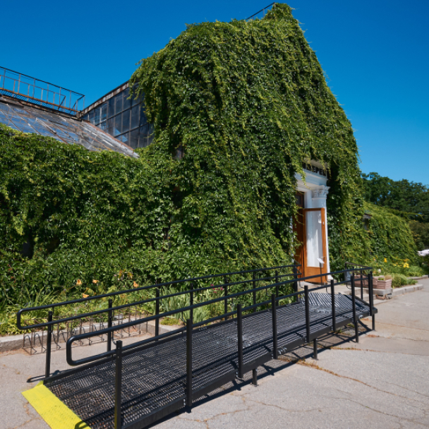 Оранжерею на ВДНГ оновили: локація стала безбар'єрною