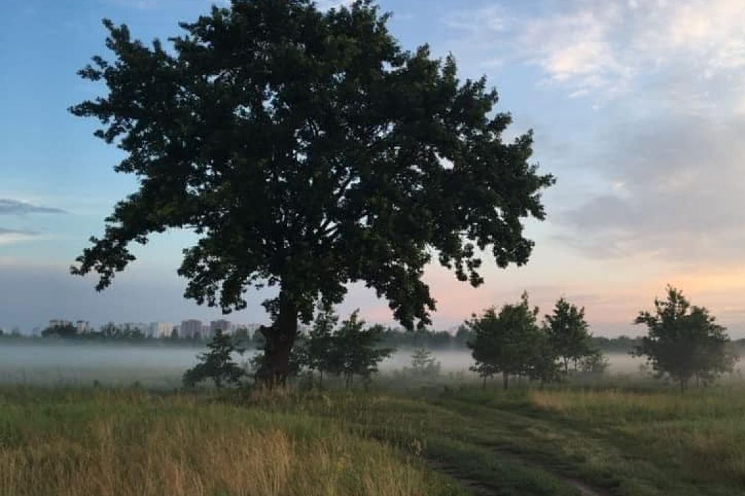 Прокуратура захищатиме "Осокорківські луки" від забудови