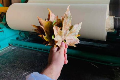 В Украине выпустили бумагу из опавших листьев