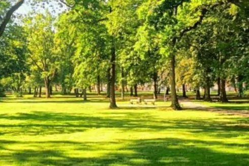 У застосунку "Київ Цифровий" з'явилися нові опитування щодо найменування трьох скверів