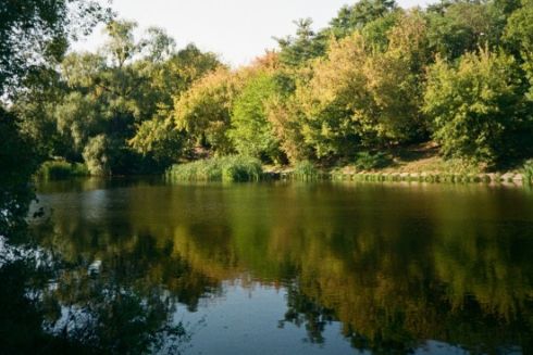 Прокуратура вимагає прибрати незаконні ресторани з парків і берегів річок Києва