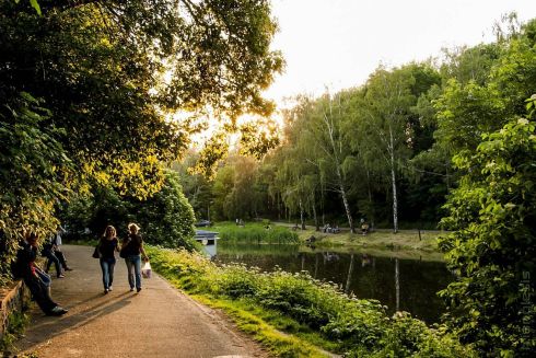 У парку «Нивки» проведуть реконструкцію