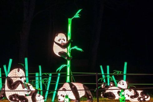 Как выглядит Фестиваль гигантских китайских фонарей на Певческом поле