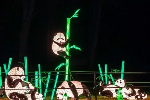 Как выглядит Фестиваль гигантских китайских фонарей на Певческом поле