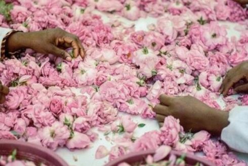 Найкращі фото світу 2024 року: National Geographic показав щорічну підбірку