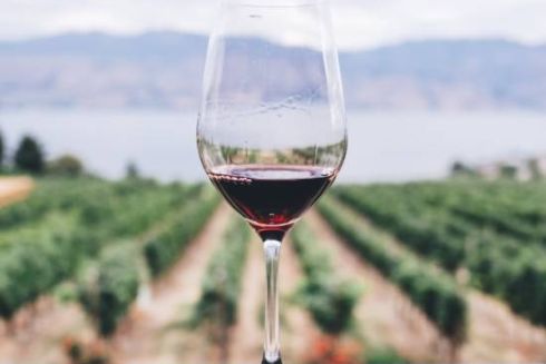 Всесвітньо визнані експерти оберуть найкращі вина України 2024 року