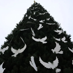 В Киеве украсили елку на Софийской площади: как она выглядит