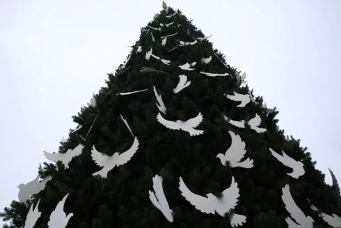 У Києві прикрасили ялинку на Софійській площі: як вона виглядає