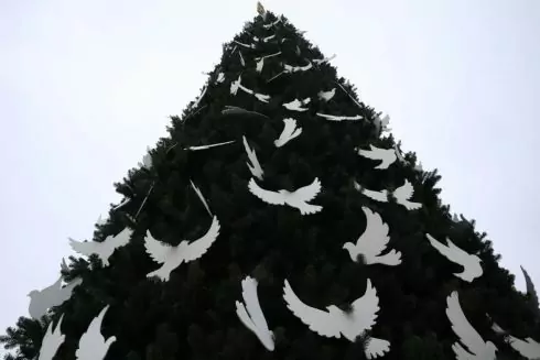 У Києві прикрасили ялинку на Софійській площі: як вона виглядає