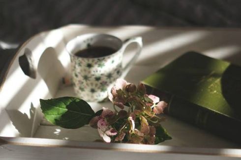 Не спорить с людьми, стать ЗОЖником, читать по книге в неделю: горожане о своих полезных привычках