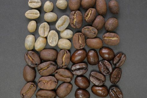 У Києві на ВДНГ пройде великий фестиваль кави