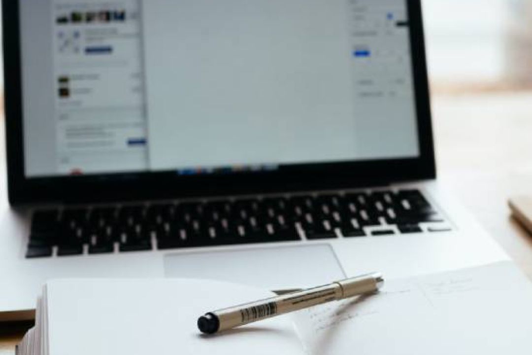 Projector Foundation объявляет набор на бесплатные курсы для женщин с деоккупированных территорий