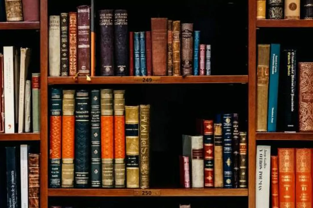 Lviv BookForum облаштує укриття п&rsquo;яти областей книжковими полицями