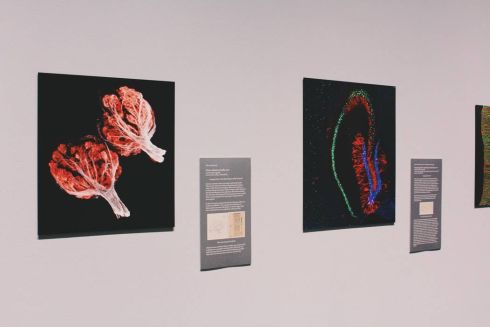 На ВДНГ з'явиться музей науки