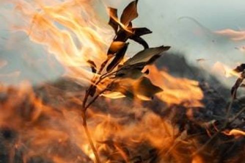 Киїів огорнуло смогом. Звідки він та як із ним боротись?