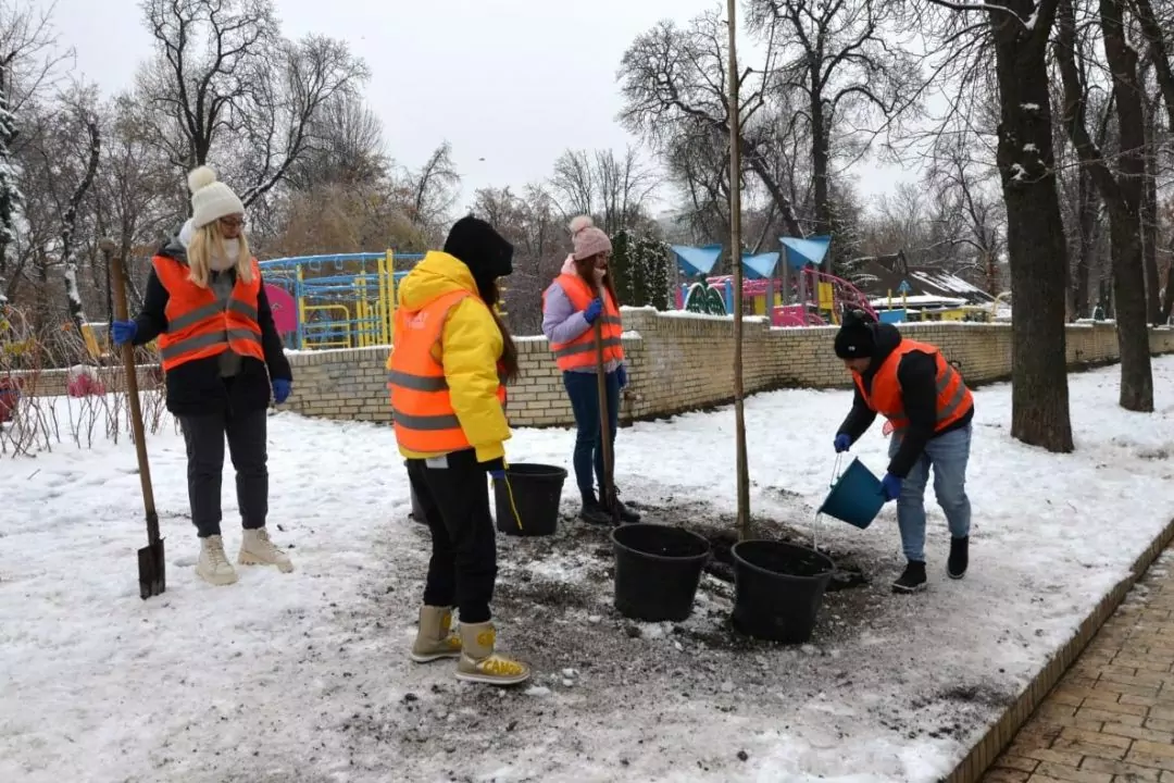 В парке Шевченко на месте падения ракеты высадили каштаны