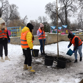 У парку Шевченка на місці падіння ракети висадили каштани