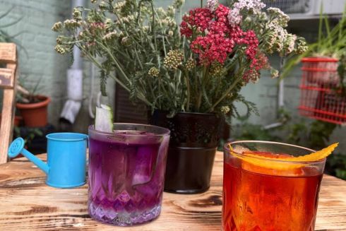 Біля метро "Університет" відкрили заклад "Пес Дюк" з корн-догами, лимонадами і десертами