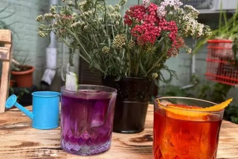 Возле метро "Университет" открыли заведение "Пес Дюк" с корн-догами, лимонадами и десертами