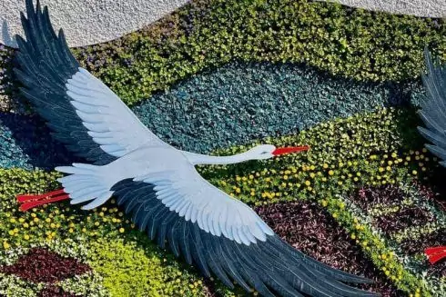 На Соломенке появилось новое цветочное панно с аистами