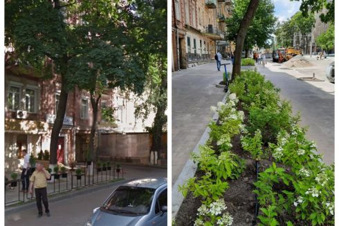 Во время ремонта улицы Пирогова срезали деревья и обустроили вместо них газон