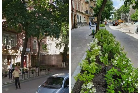 Во время ремонта улицы Пирогова срезали деревья и обустроили вместо них газон