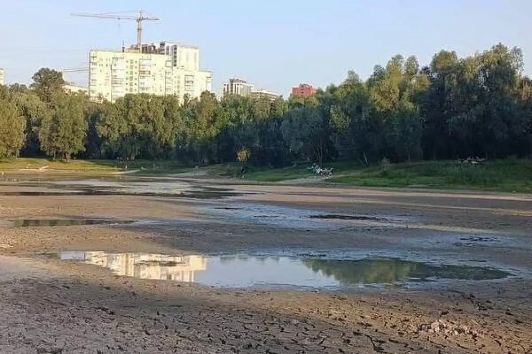 Восени обміліле озеро Синє на Виноградарі розчистять та наповнять водою