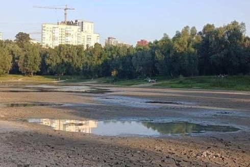 Восени обміліле озеро Синє на Виноградарі розчистять та наповнять водою