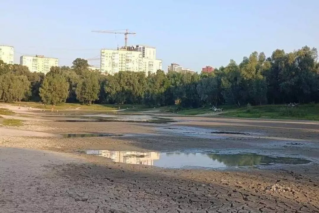 Озеро Синє на Виноградарі сильно обміліло