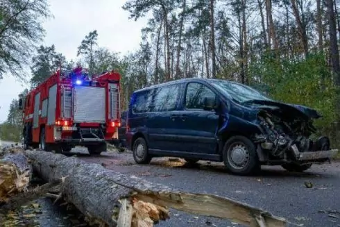 У Києві та області сильний вітер: падають дерева, є загиблі