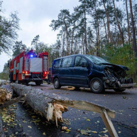 В Киеве и области сильный ветер: падают деревья, есть погибшие